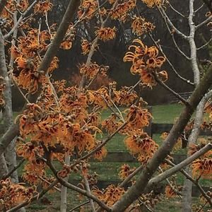 Meet your Posher, Janice